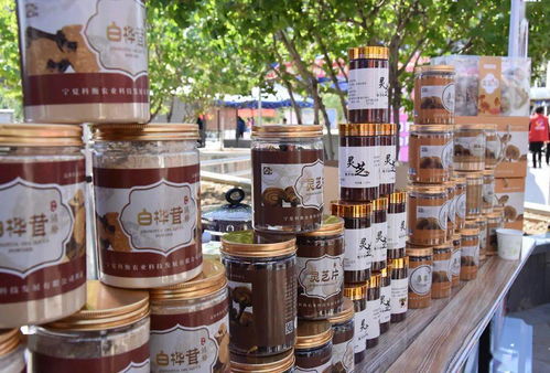 巾幗展風(fēng)采，服務(wù)暖人心——銀川市巾幗家政服務(wù)暨巾幗助力扶貧展示進(jìn)社區(qū)活動(dòng)正式啟動(dòng)